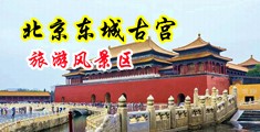 一级片骚逼骚逼骚逼骚逼骚骚逼中国北京-东城古宫旅游风景区